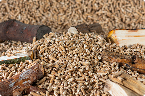 Close-up top view of premium finished wood pellets ready for packing